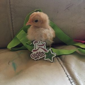 Meet your Posher, Ruby
